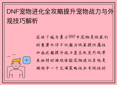 DNF宠物进化全攻略提升宠物战力与外观技巧解析